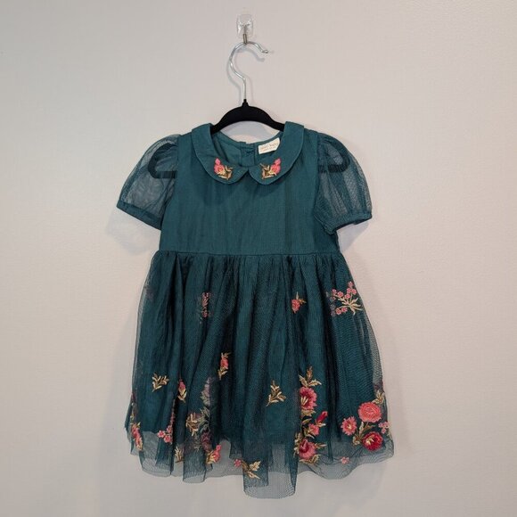 2/$40 🧡 Next Baby Embroidered Tulle Dress | Floral - Picture 1 of 6